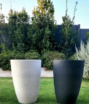 Modern Conic XL