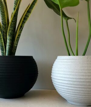 BOWL MARFIL